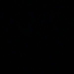 Meet your Posher, Millie